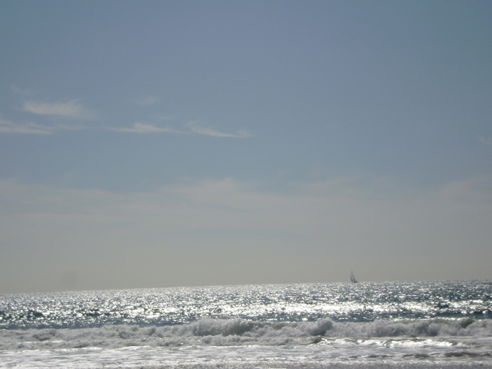 p2120034.JPG